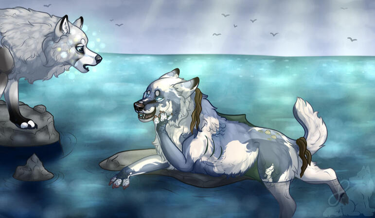 awolfpup @dA