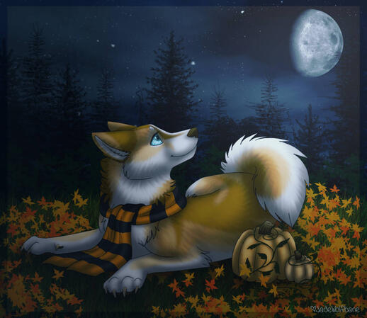 by astrooki @dA