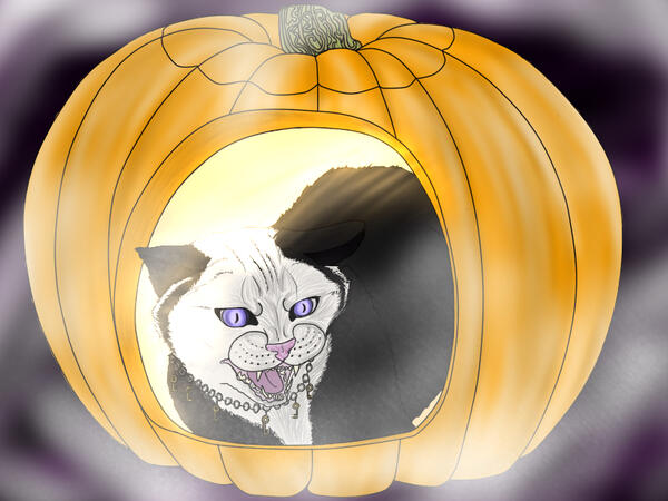 by Nym @discord